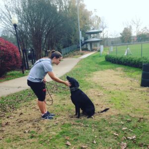 Reward Based Pittsburgh Dog Training!